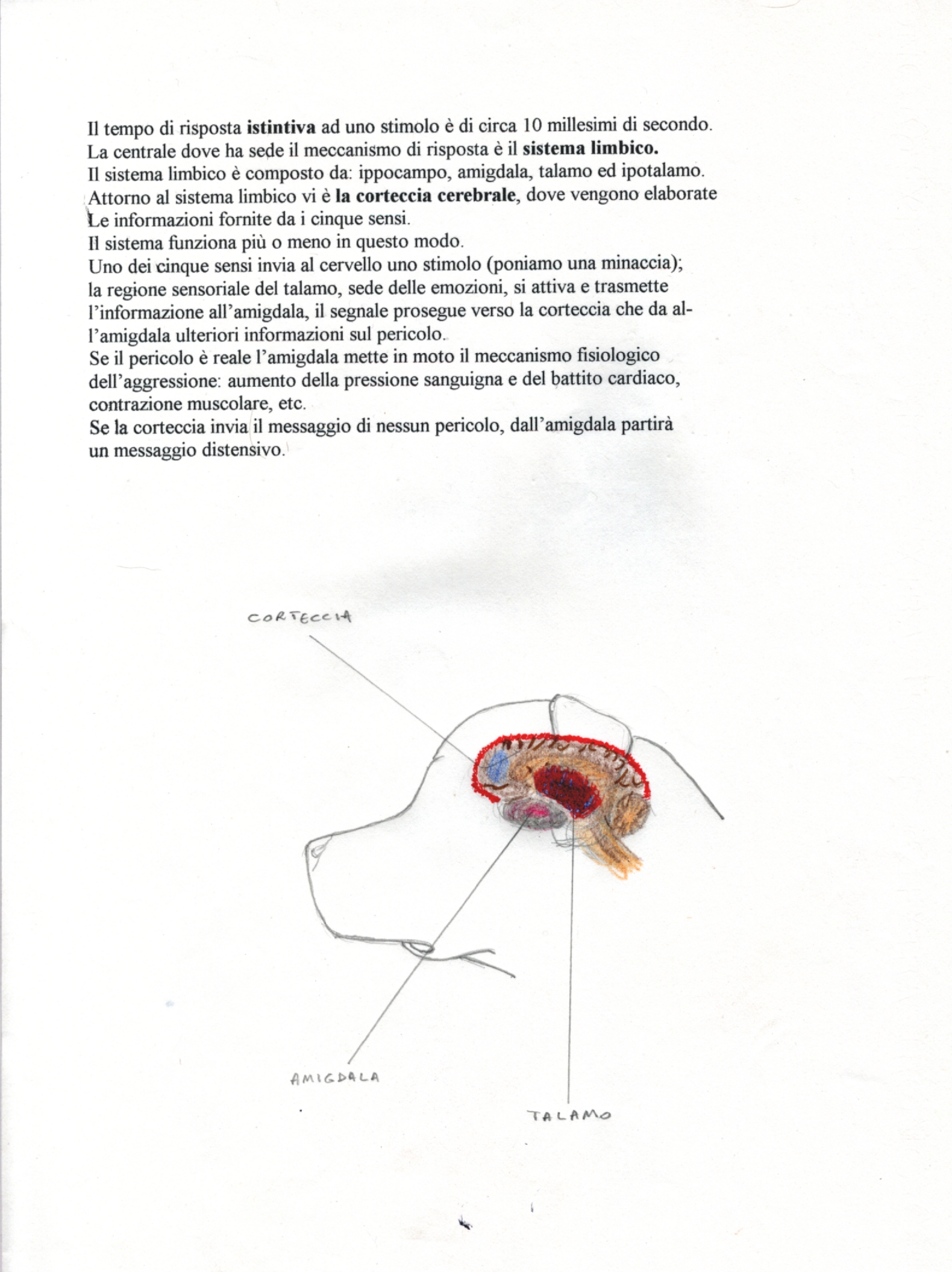 u fisiologia dell'aggressione.jpg