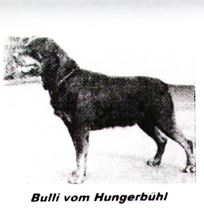 z Bulli vom Hungerbuhl.jpg