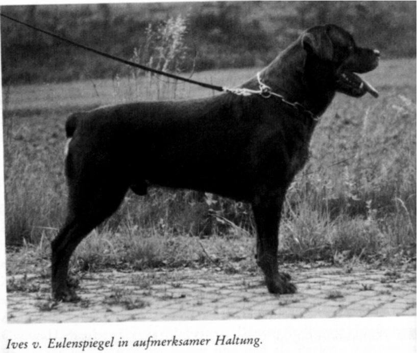 z Ives Eulenspiegel.jpg