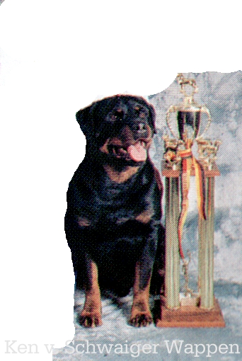 z Ken vom Schwaiger Wappen.jpg