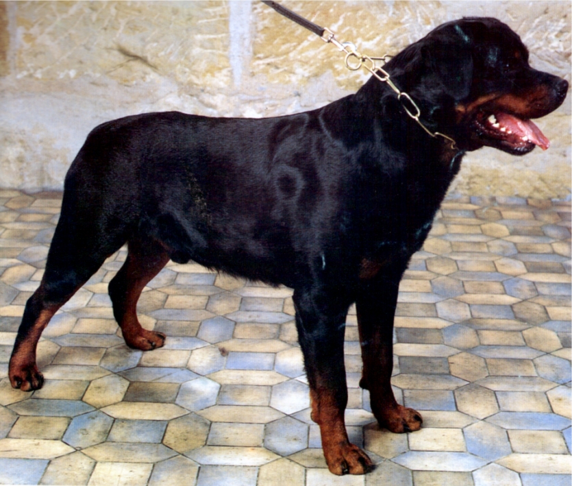 z Rick von Burgthann.jpg