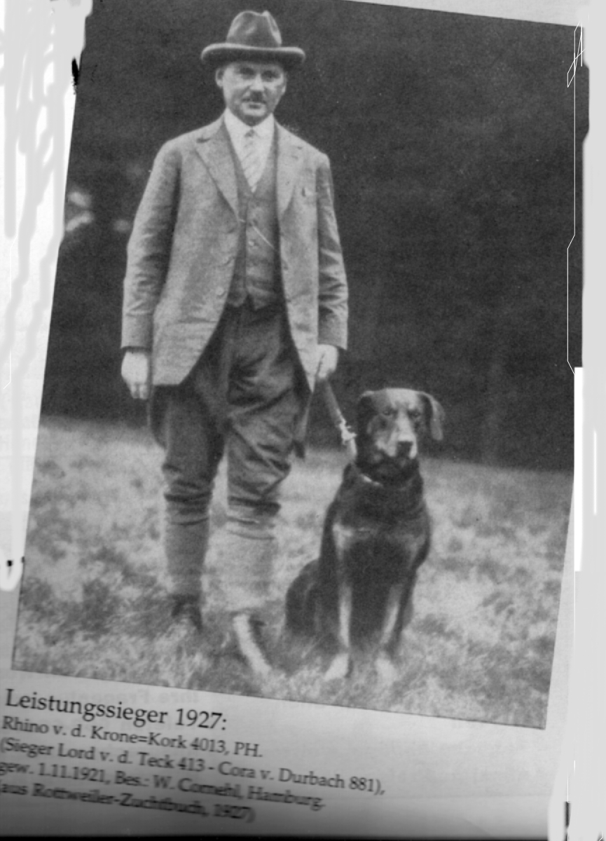 z y Rhino v. d. Krone.jpg