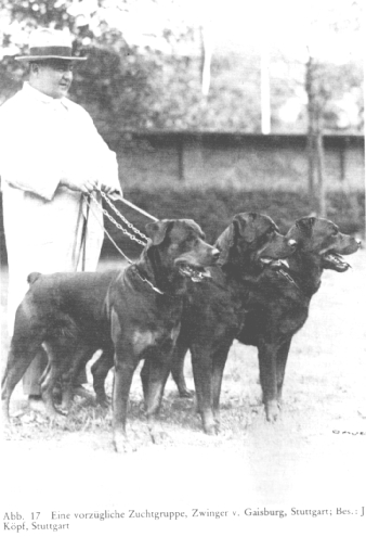 z-y-zuchtgruppe-v-gaisburg