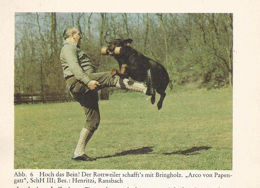 arco-von-papengatt-bes.-henritzi-ransbach-4